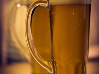 Unieke biertour in Praag